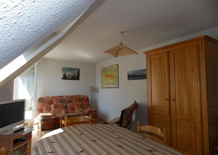 Luchon - Duplex 6 Pers, Balcon Sud, Parking, Animaux Admis - Fr-1-313-161 *