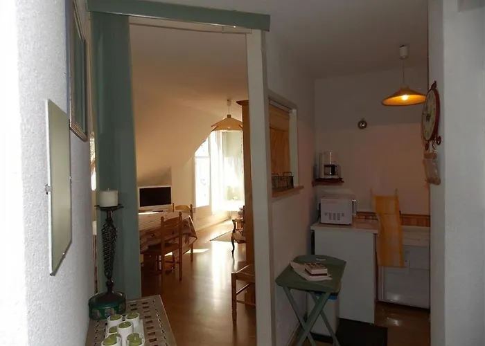 Luchon - Duplex 6 Pers, Balcon Sud, Parking, Animaux Admis - Fr-1-313-161 Daire *